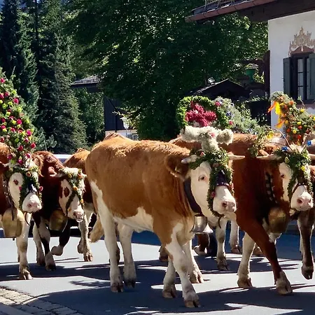 Seeheimat * Schliersee