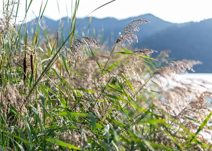 Seeheimat Διαμέρισμα *